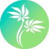 Technology Aloha