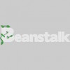 Beanstalk Web Solutions