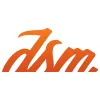 The DSM Group