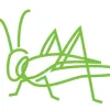 Grasshopper Marketing