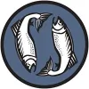 2 Fish Company