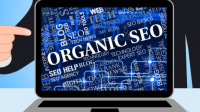 Organic Search